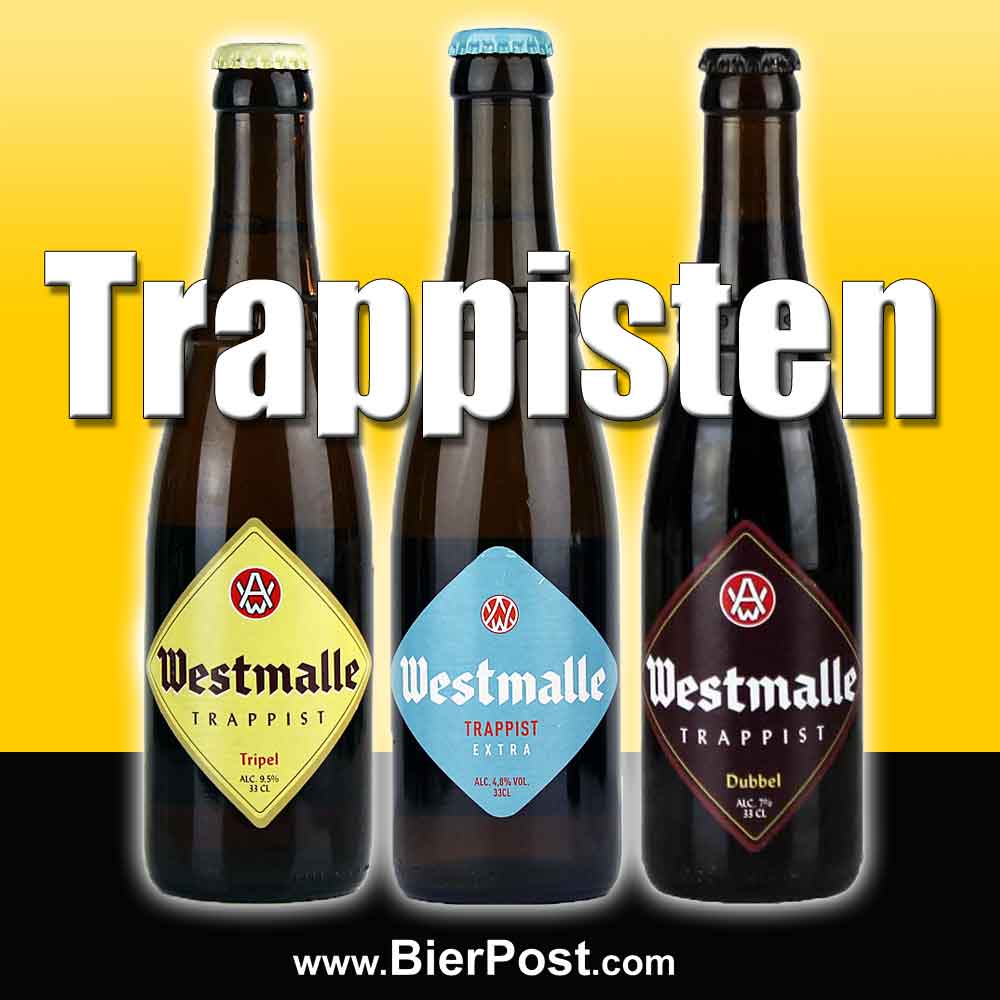 Bild von Westmalle Trappist - 3er PROBIERSET - je 0,33l